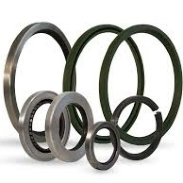 Customized NBR Rubber Oil Seal Double Lip Tc Tg Oil Seals